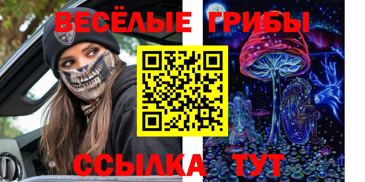 Псилоцибиновые грибы мухоморы Анапа